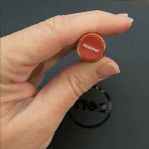 Persimmon LipSense by SeneGence